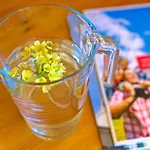 Hotel Botenwirt 4*